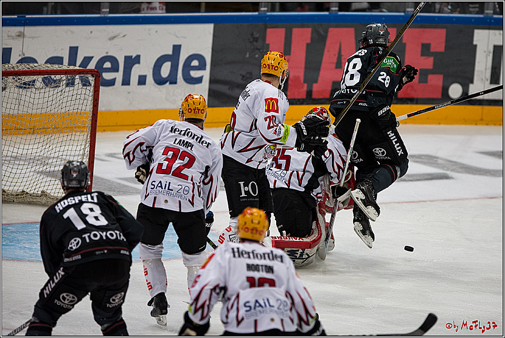 DEL, Koelner Haie - Fishtown Pinguins Bremerhaven, 29.01.2017